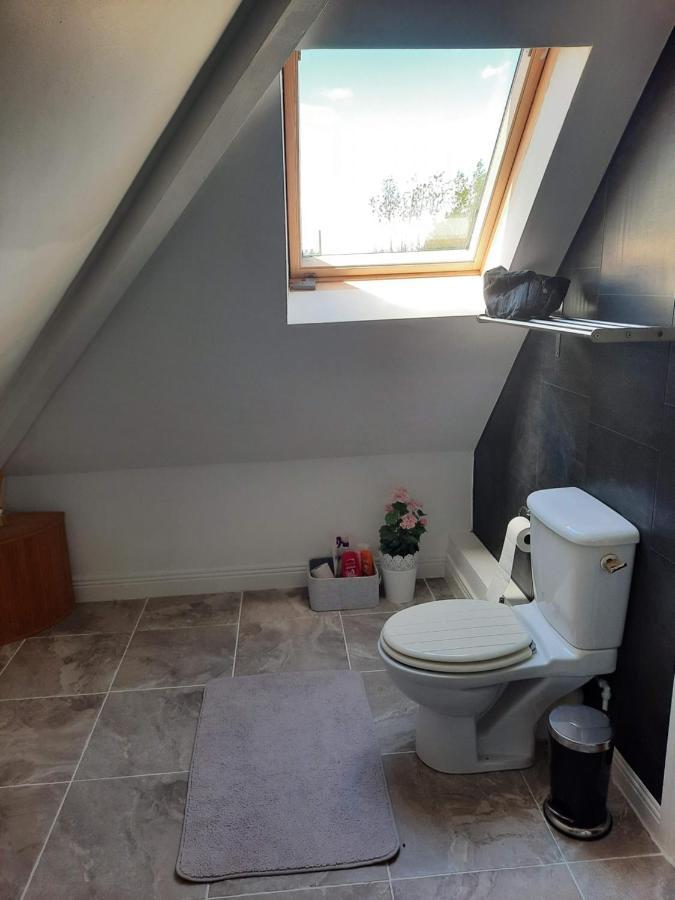 Killenard Self Catering Accommodation エクステリア 写真